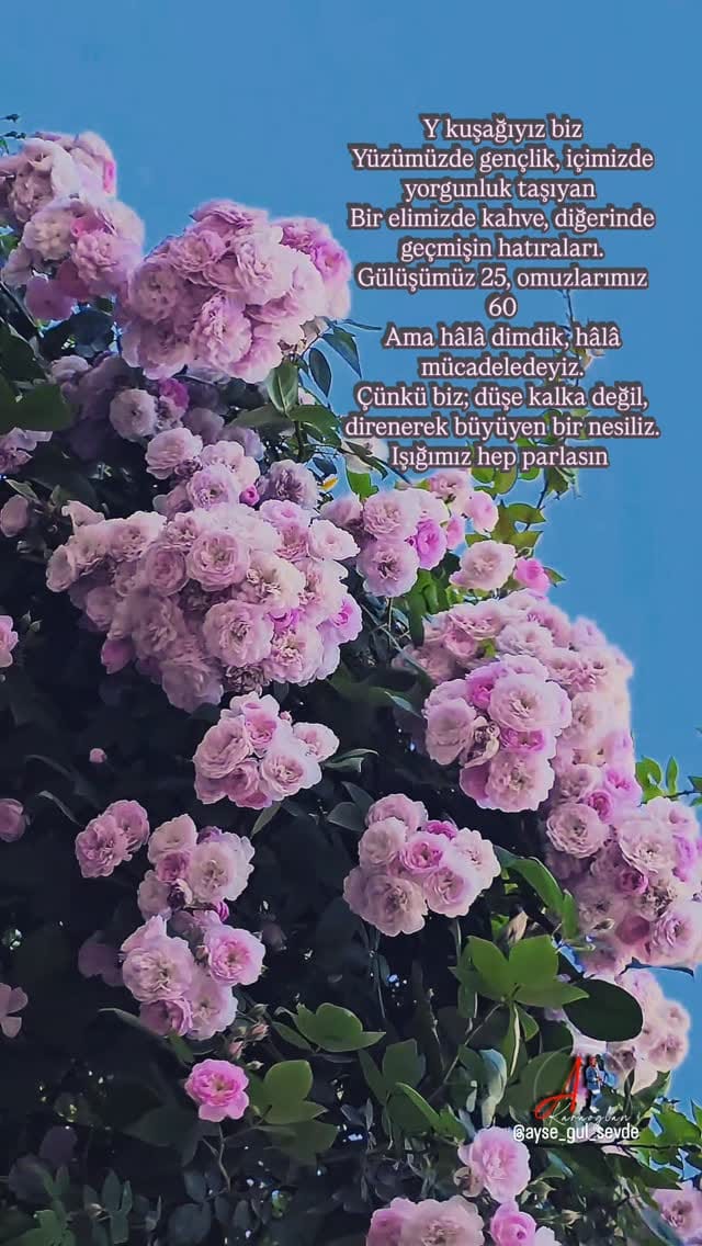 Post 7 by 𝓐𝔂𝓼𝓮𝓰𝓾𝓵 𝓚𝓪𝓻𝓪𝓸𝓰𝓵𝓪𝓷 📸 on Instagram (video)