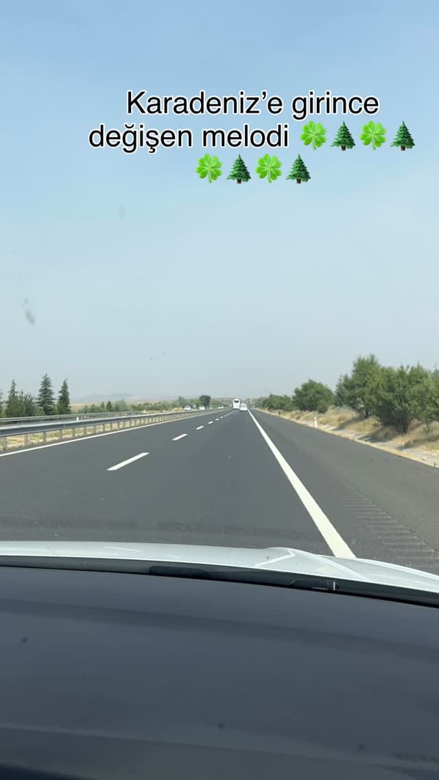 Post 7 by Gülshen Çiftgumush on Instagram (video)