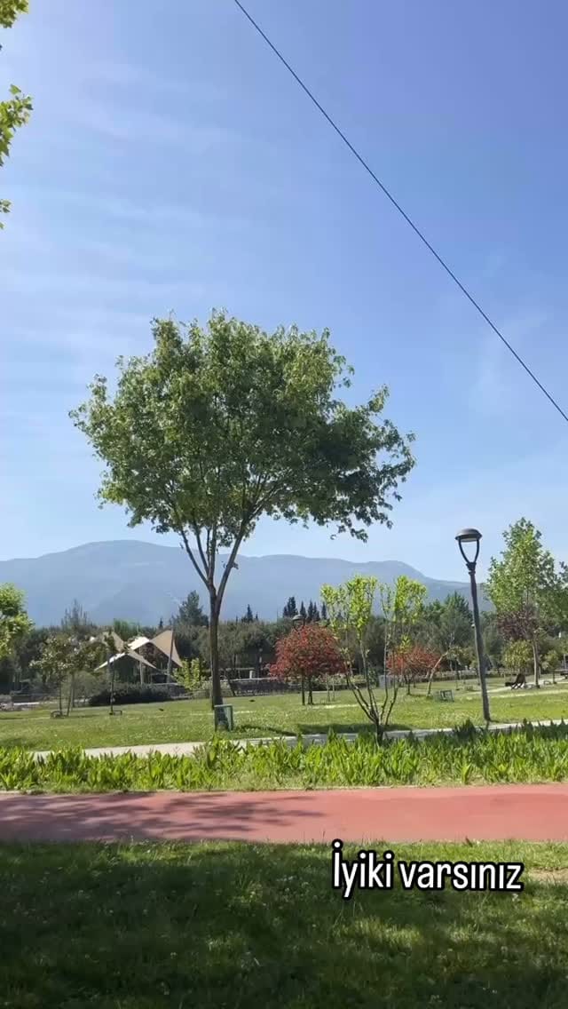 Post 9 by Gülshen Çiftgumush on Instagram (video)