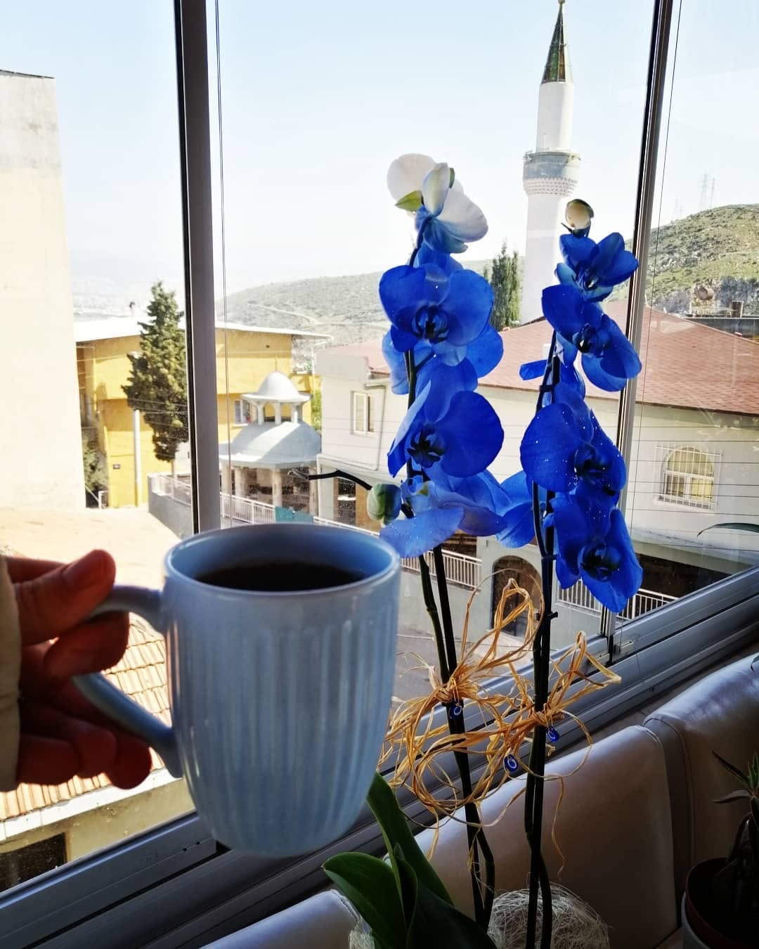 Post 6 by Betül D. 🌸 on Instagram (image)