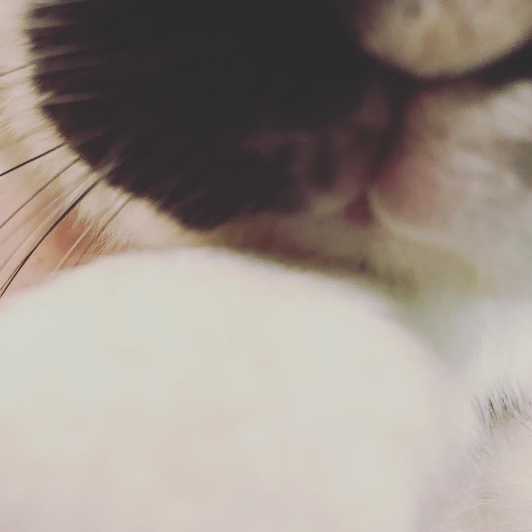 Post 9 by Harry_Rabbit on Instagram (image)