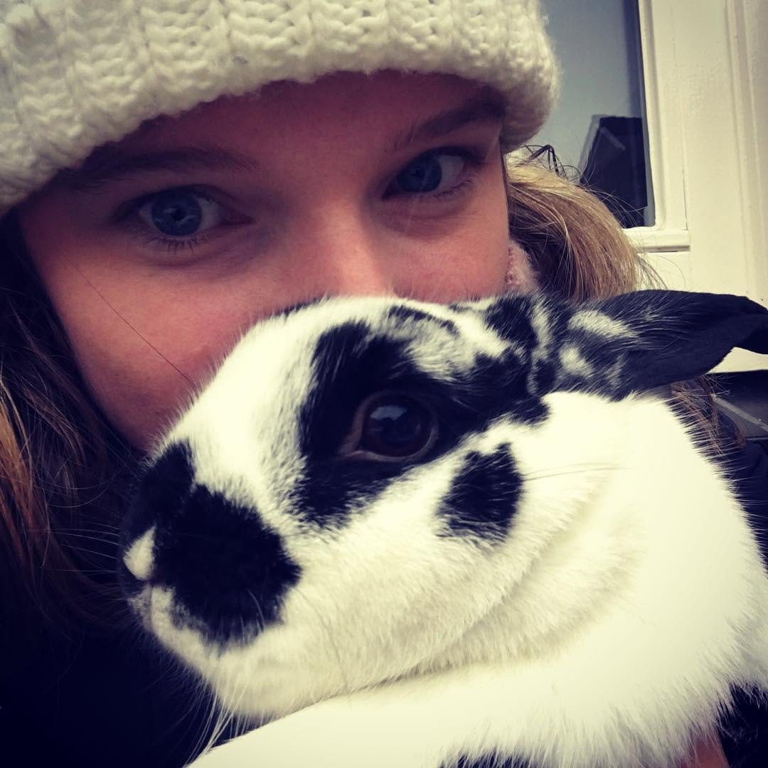 Post 10 by Harry_Rabbit on Instagram (image)