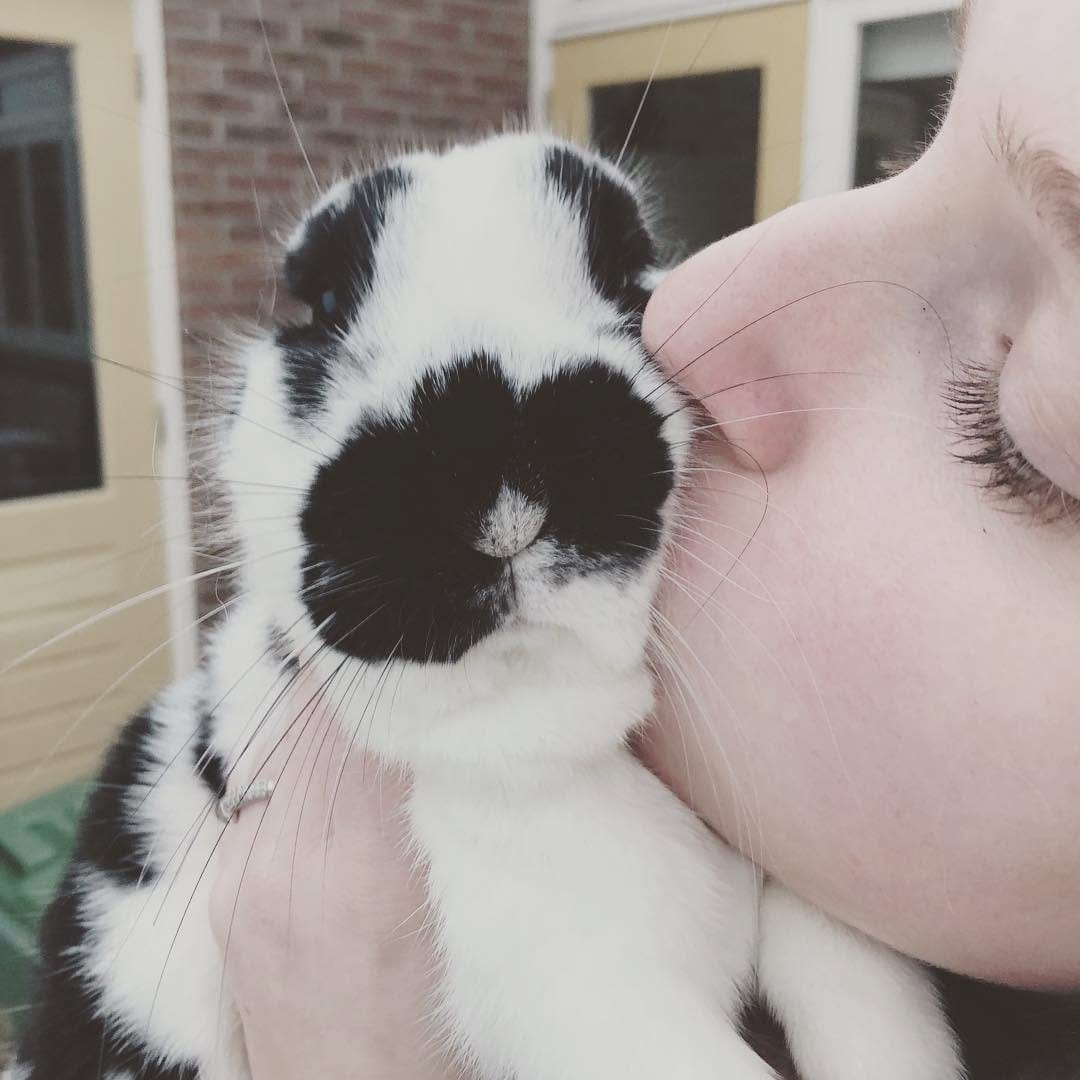 Post 7 by Harry_Rabbit on Instagram (image)