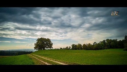 Post 7 by Beenu Rajpoot Films on Instagram (video)