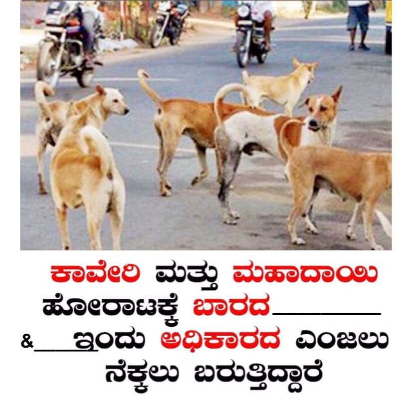 Post 10 by #Troll #Kannada on Instagram (image)