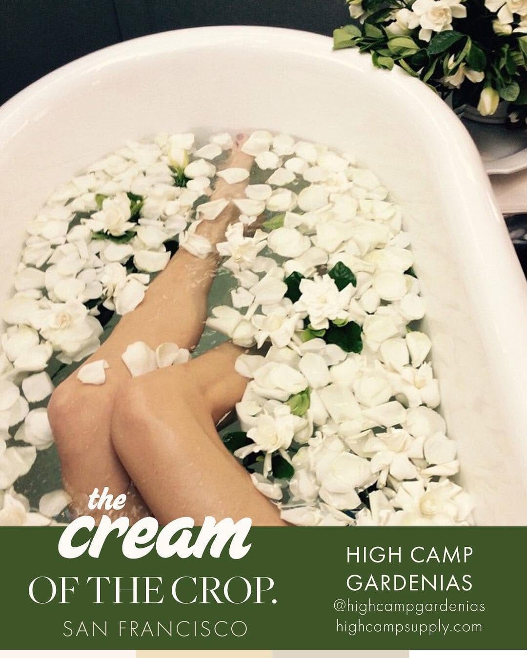 Post 5 by The CREAM Event on Instagram (image)