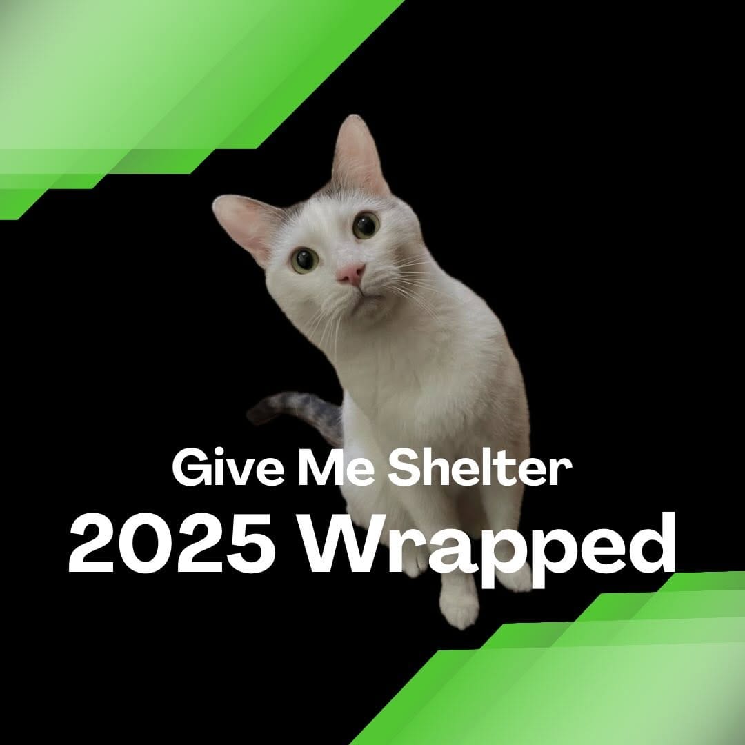 Post 10 by Give Me Shelter on Instagram (carousel)