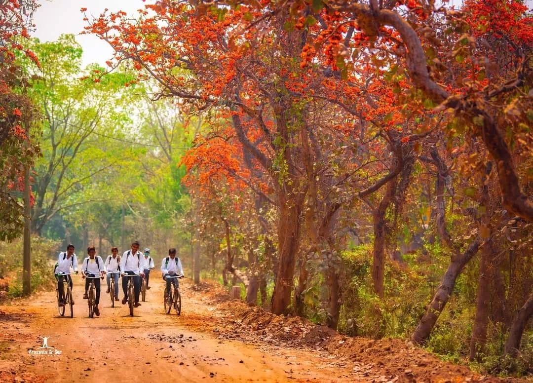 Post 10 by Stories of Kolkata on Instagram (image)