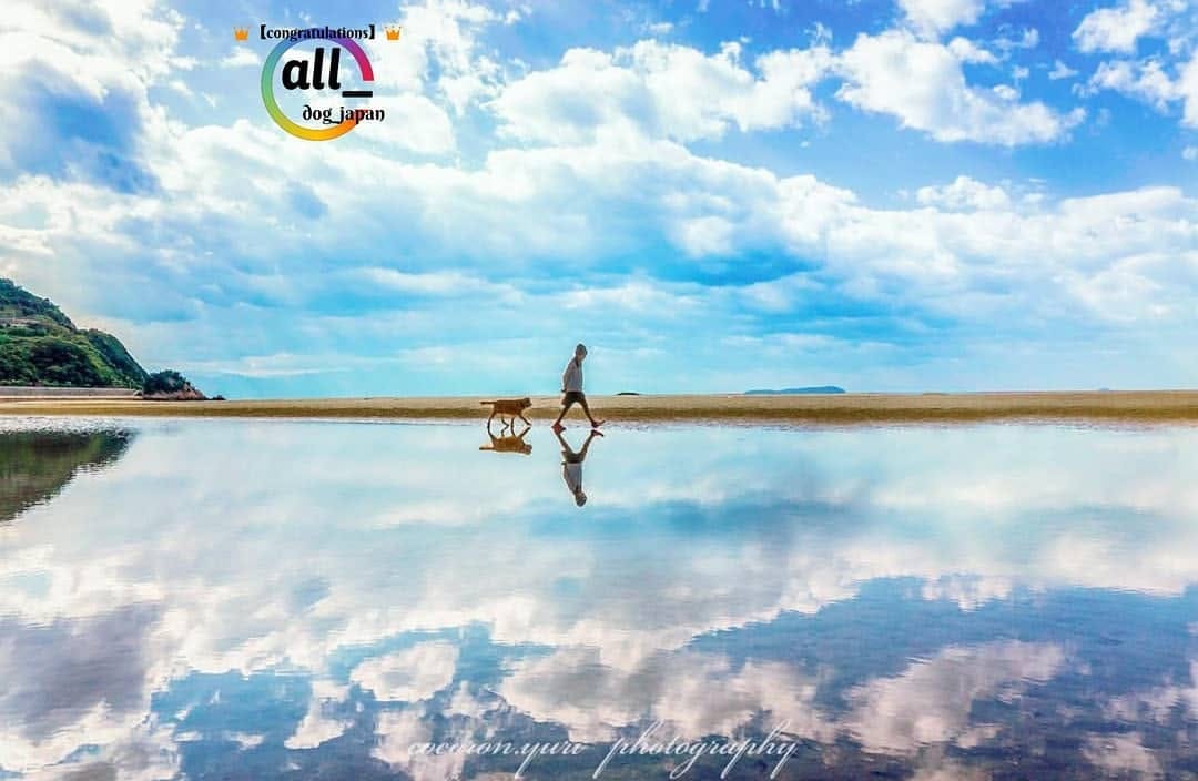 Post 5 by ALL DOG JAPAN on Instagram (image)