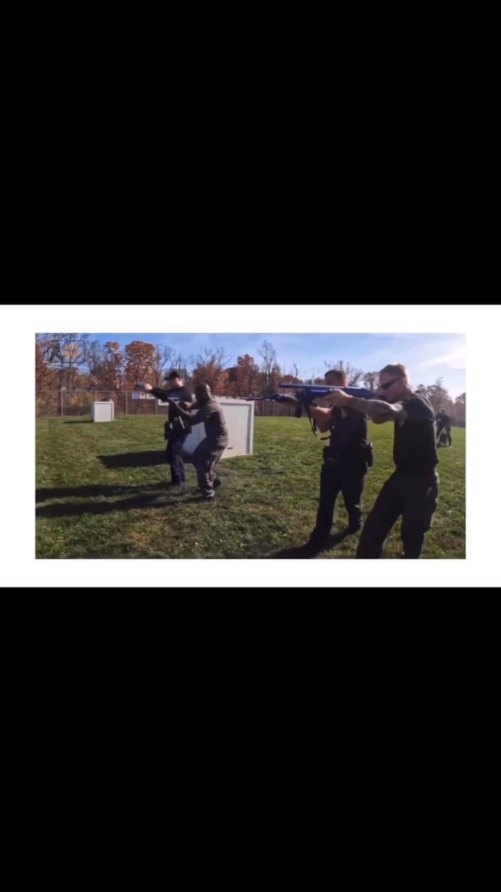 Post 10 by Throw Away Dogs Project on Instagram (video)