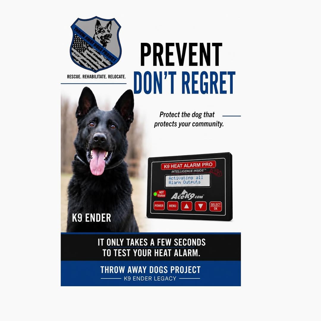 Post 5 by Throw Away Dogs Project on Instagram (image)