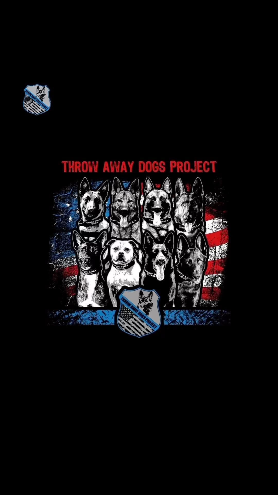 Post 9 by Throw Away Dogs Project on Instagram (video)