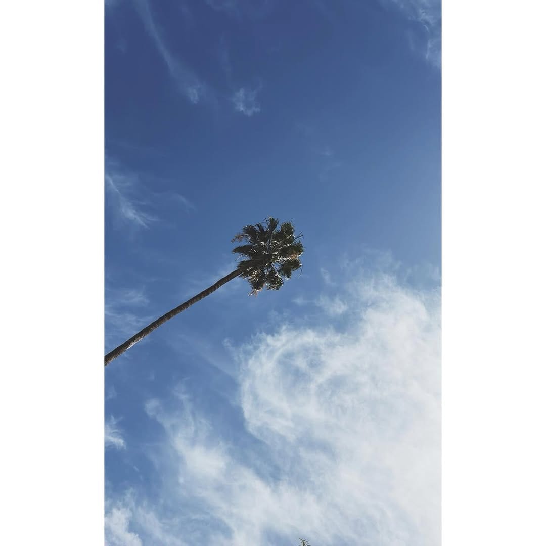 Post 5 by g e o r g i n a r e i l l y on Instagram (carousel)