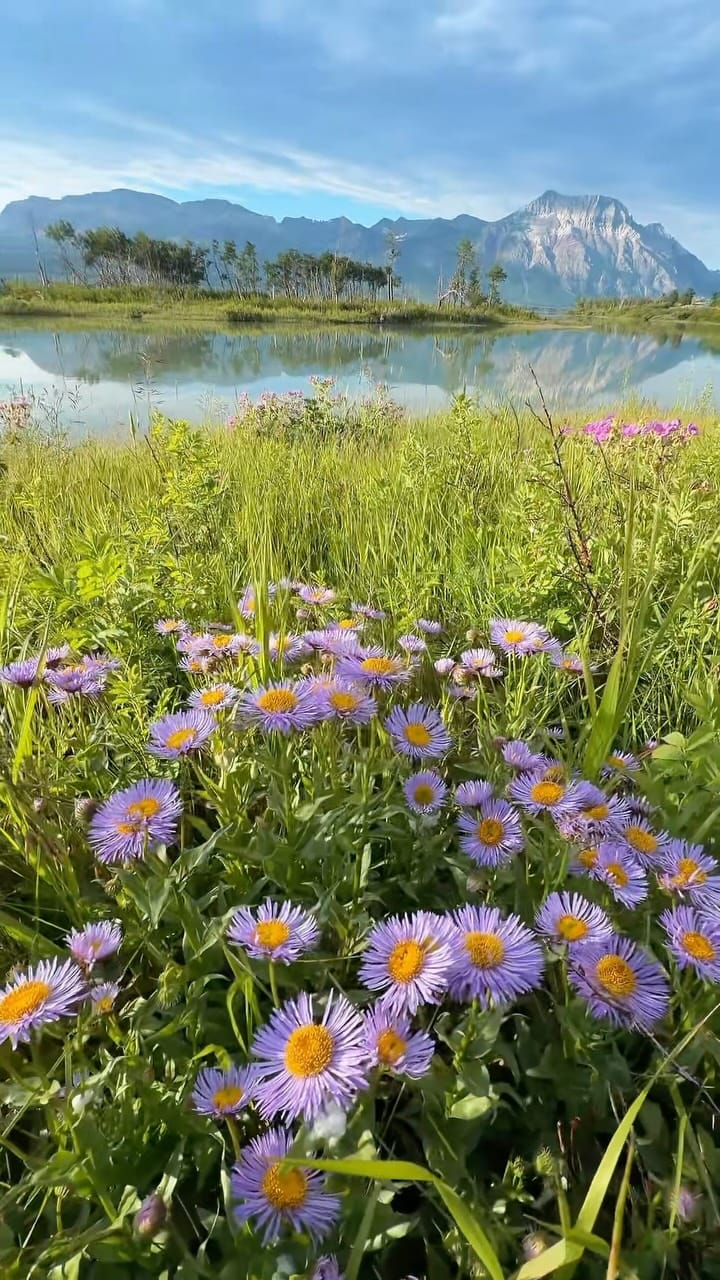 Post 9 by Waterton Park, Alberta Canada on Instagram (video)