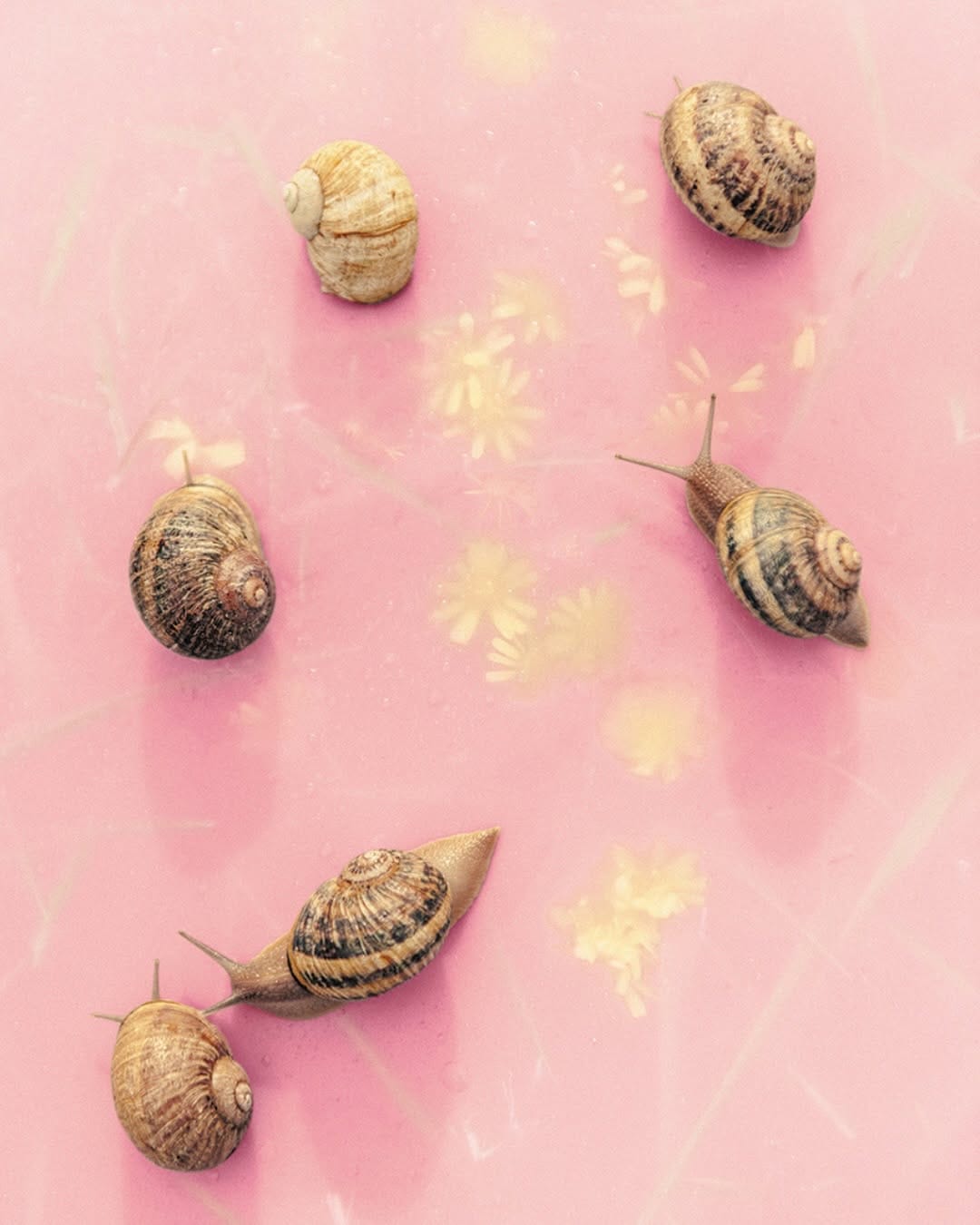 Post 5 by Festival de photo MAP Toulouse on Instagram (carousel)