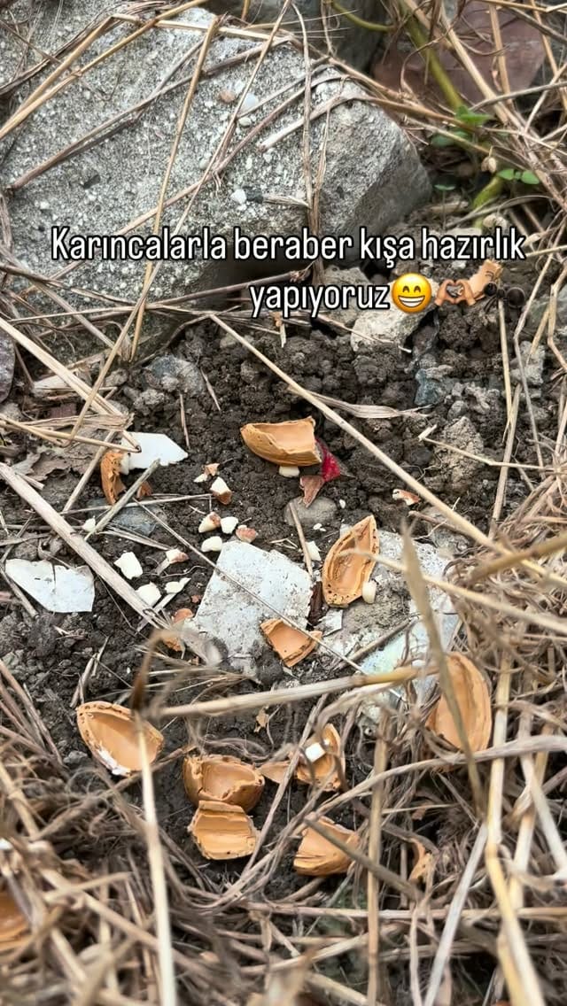 Post 5 by Kedili_bebekli on Instagram (video)