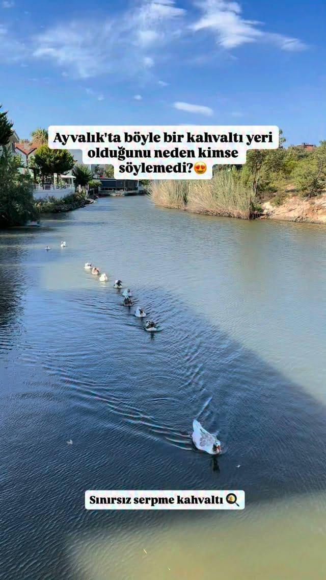 Post 1 by Aslı on Instagram (video)