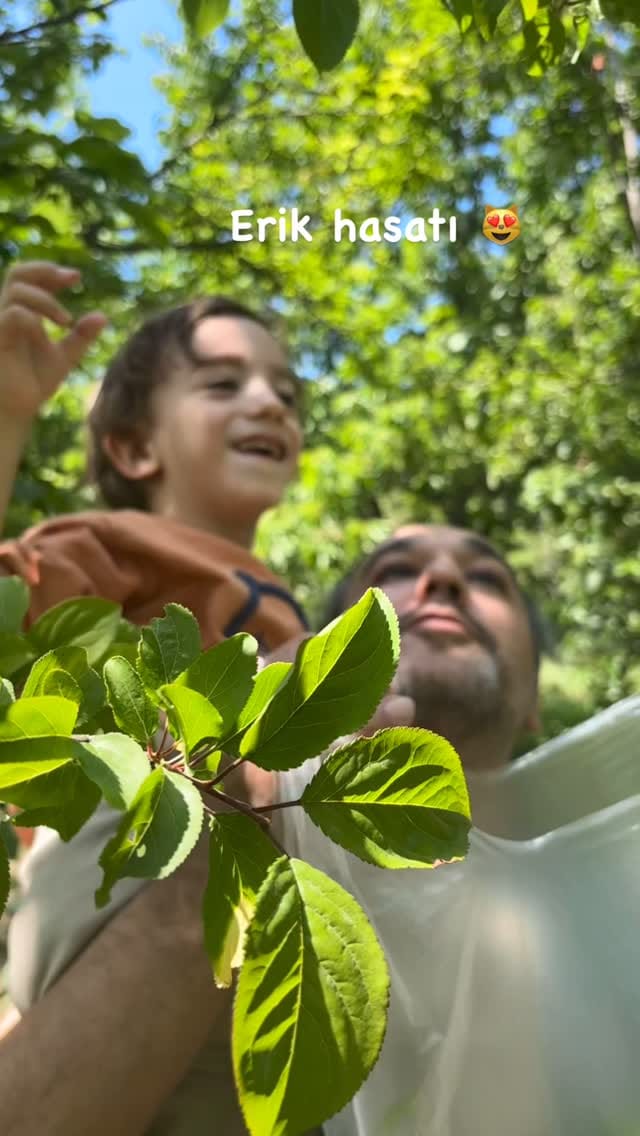 Post 8 by Sevval Ozer Karadayı on Instagram (video)