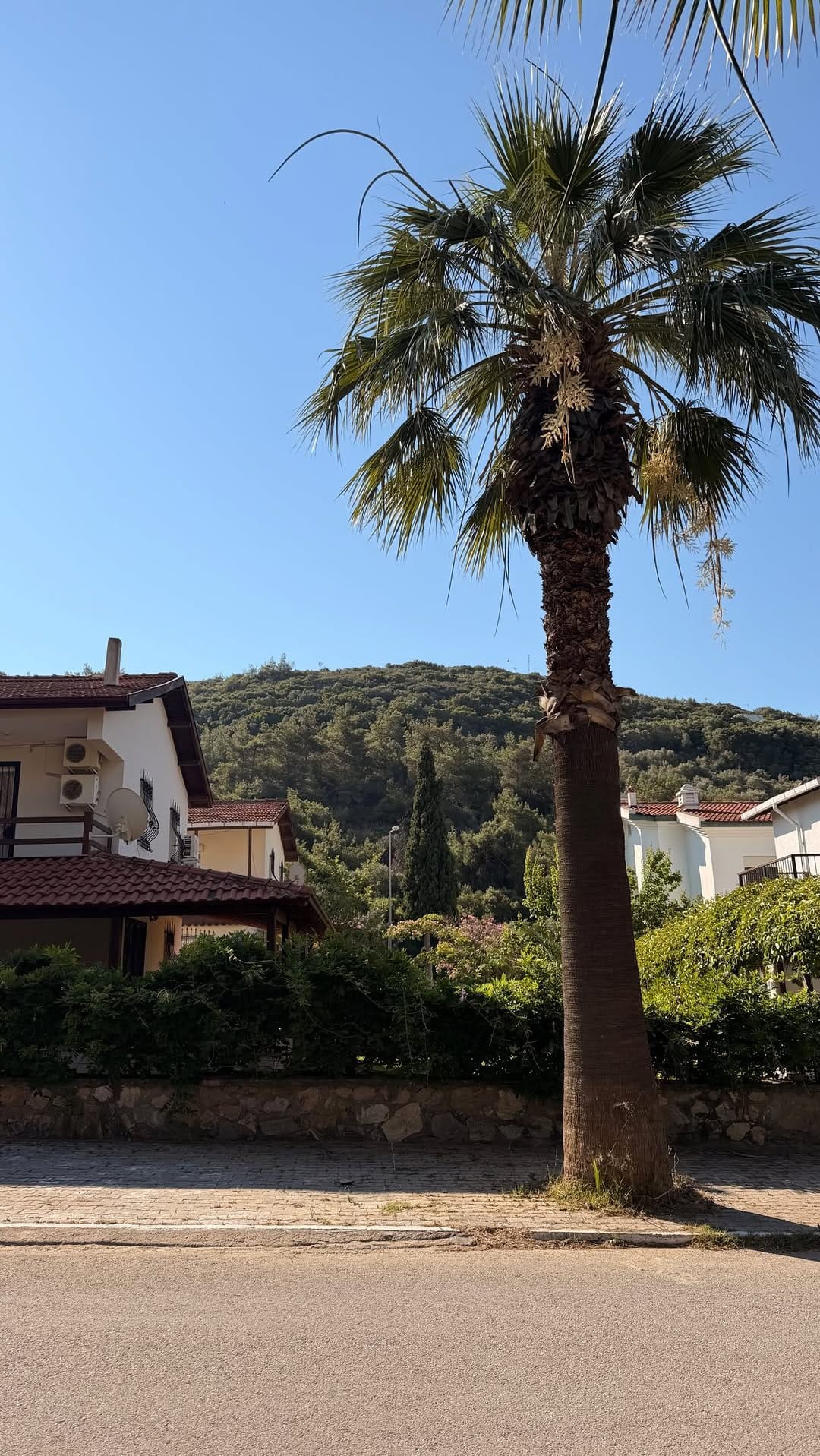 Post 2 by Merve Portakal on Instagram (video)