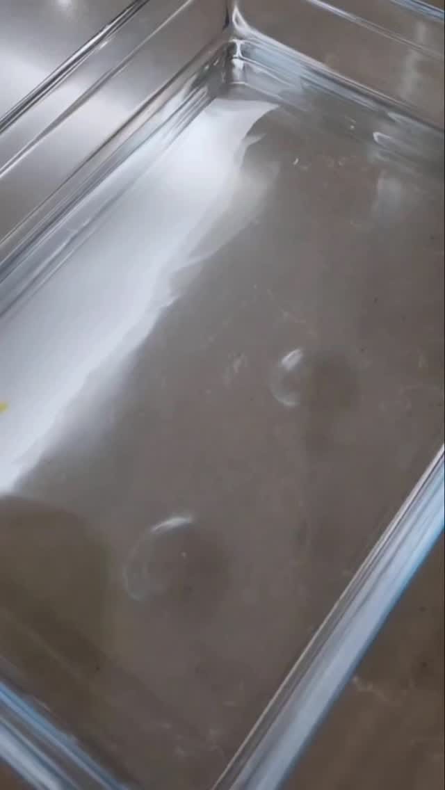 Post 7 by Esra Albostan on Instagram (video)