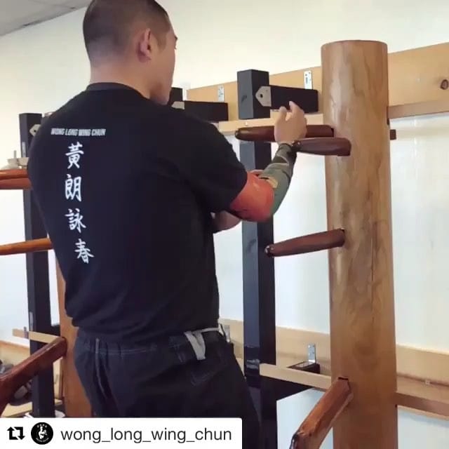 Post 6 by Wing Chun Daily on Instagram (video)