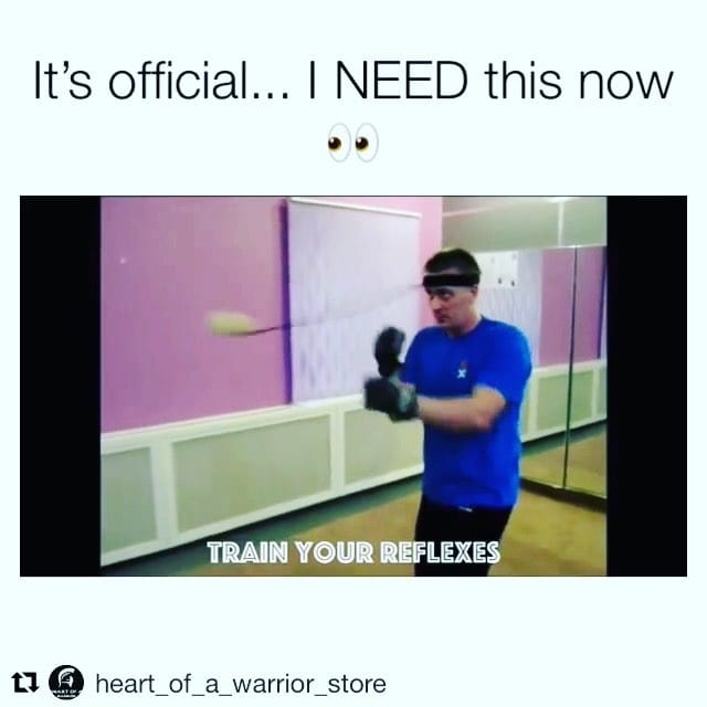 Post 3 by Wing Chun Daily on Instagram (video)
