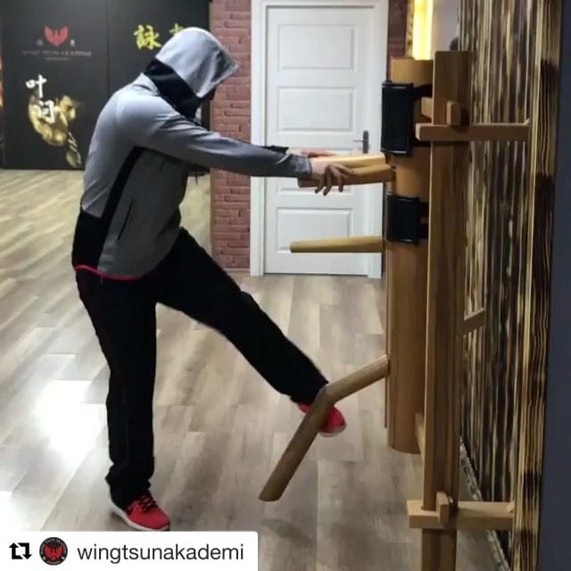 Post 9 by Wing Chun Daily on Instagram (video)