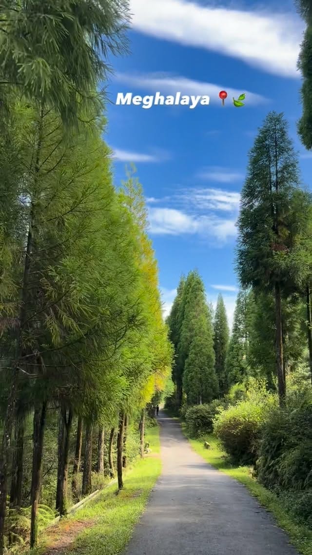Post 3 by Grace WS Shabong on Instagram (video)
