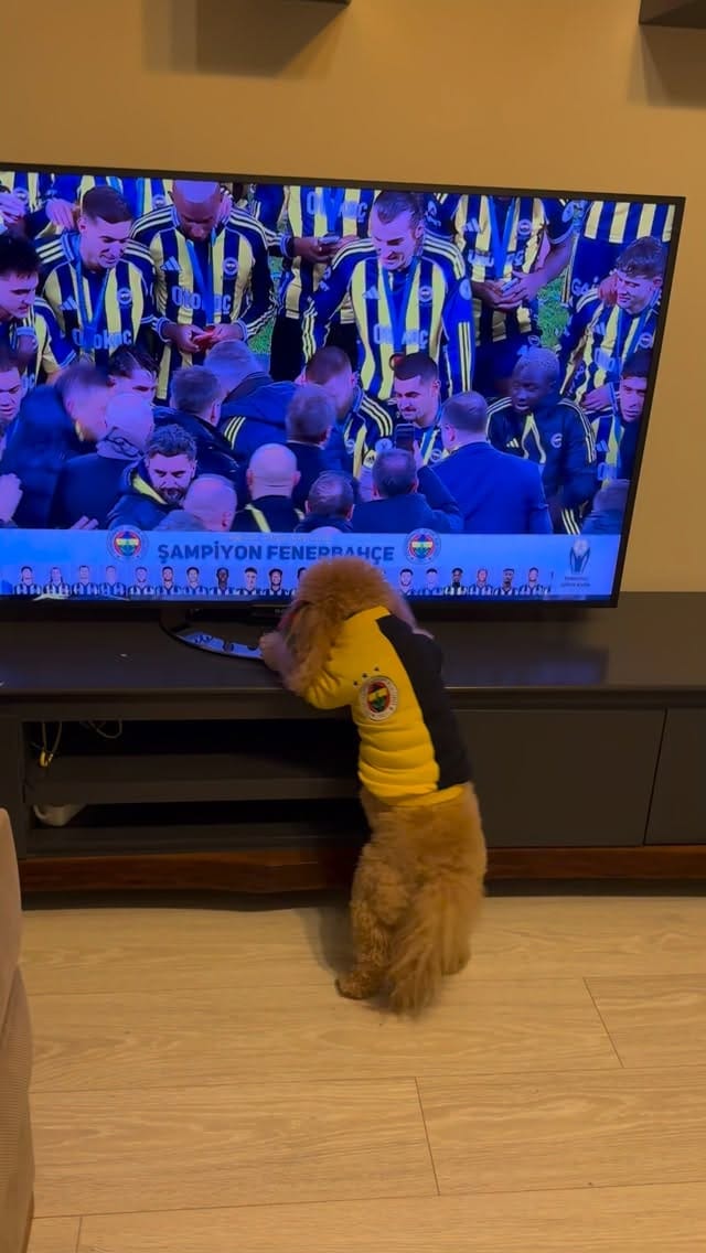 Post 8 by Ponçik Lady on Instagram (video)