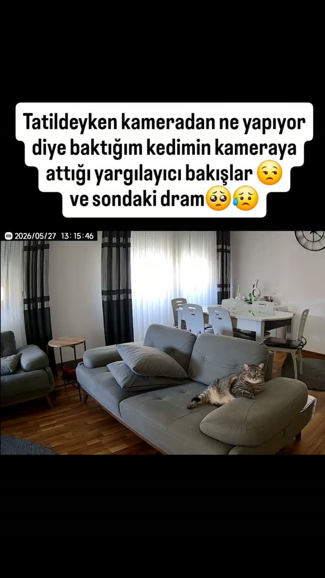 Post 8 by Fenomen Cat Behlül💜(Emel Gül) on Instagram (video)