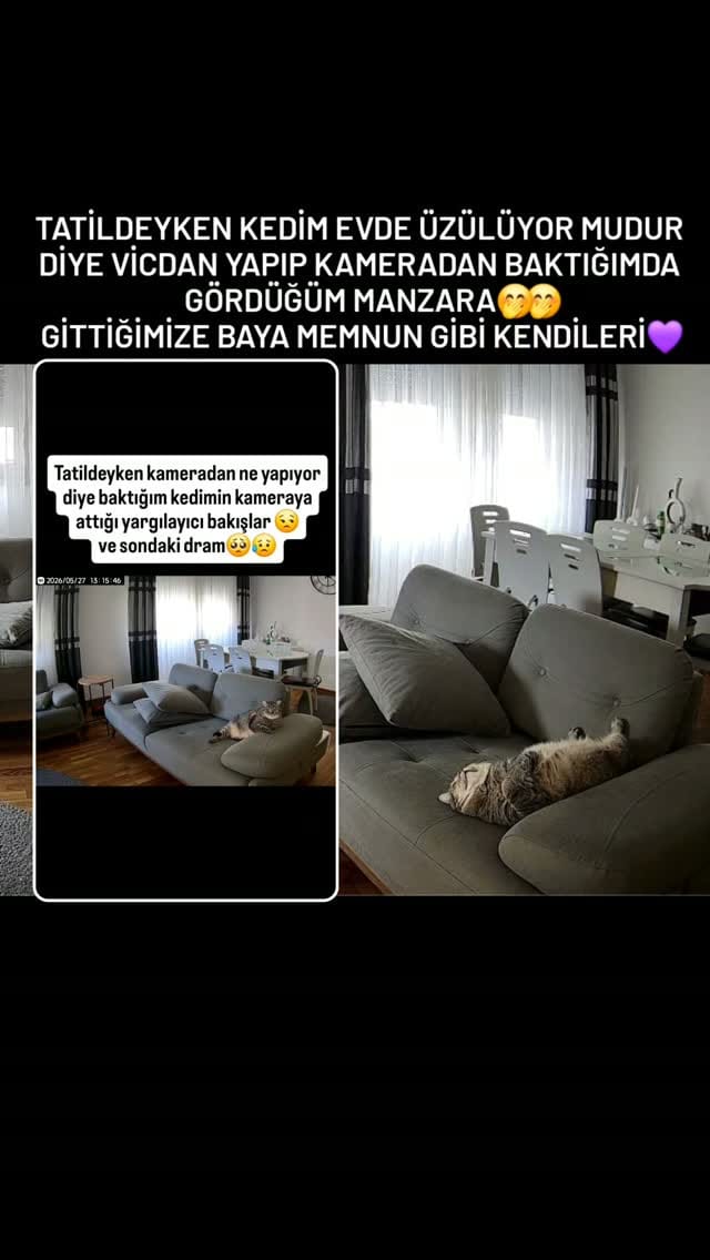 Post 7 by Fenomen Cat Behlül💜(Emel Gül) on Instagram (video)