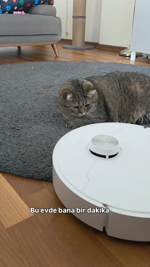 Post 4 by Fenomen Cat Behlül💜(Emel Gül) on Instagram (video)