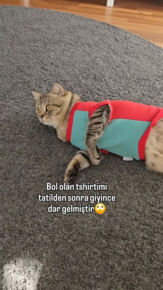 Post 6 by Fenomen Cat Behlül💜(Emel Gül) on Instagram (video)