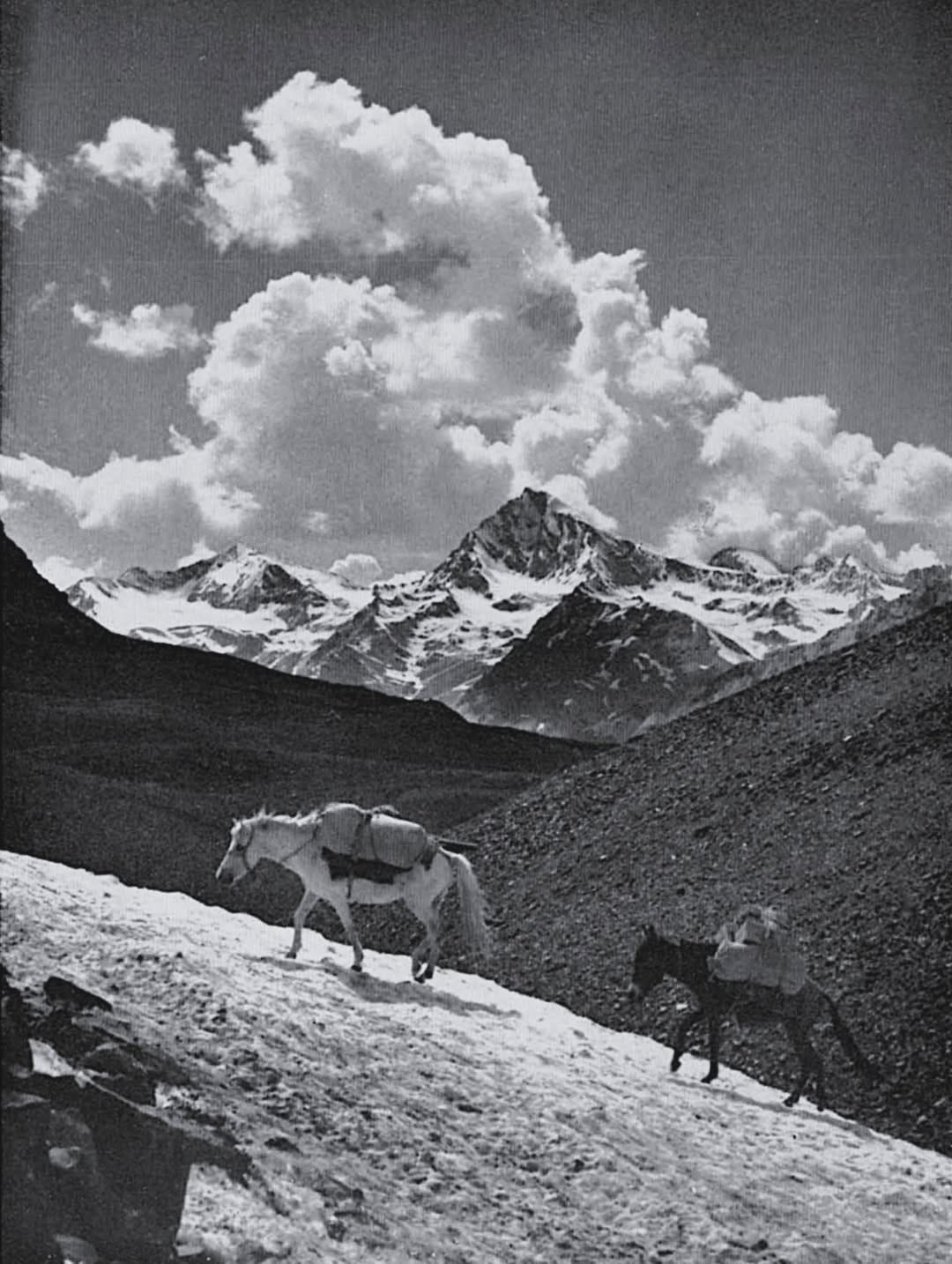 Post 8 by Himalaya History on Instagram (image)
