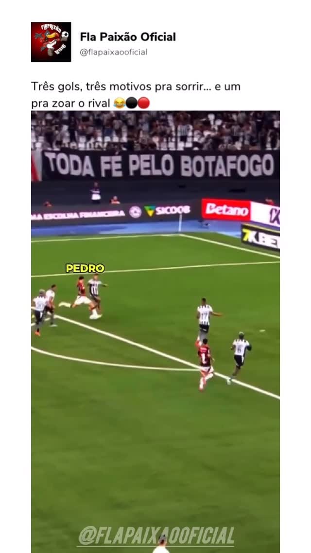 Post 7 by Fla Paixão oficial on Instagram (video)