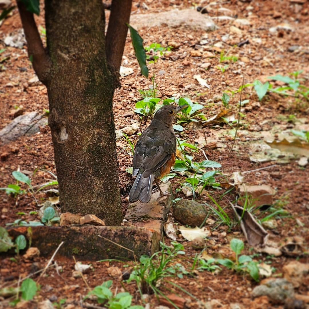 Post 10 by Miguel Acosta on Instagram (image)