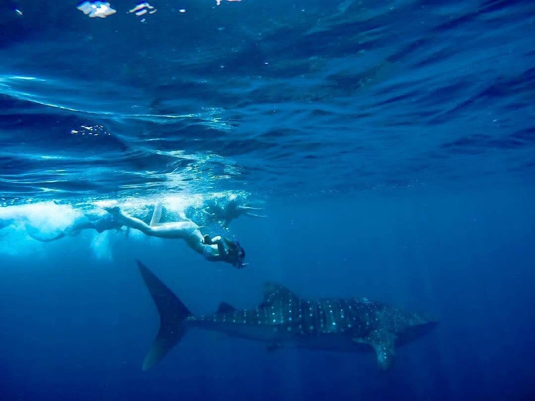Post 1 by Under The Deep Blue on Instagram (image)