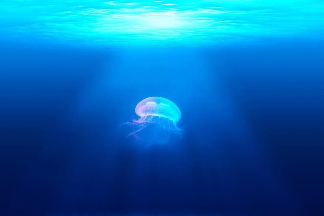 Post 2 by Under The Deep Blue on Instagram (image)