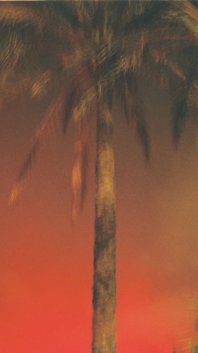Post 7 by Aran Martinez on Instagram (video)