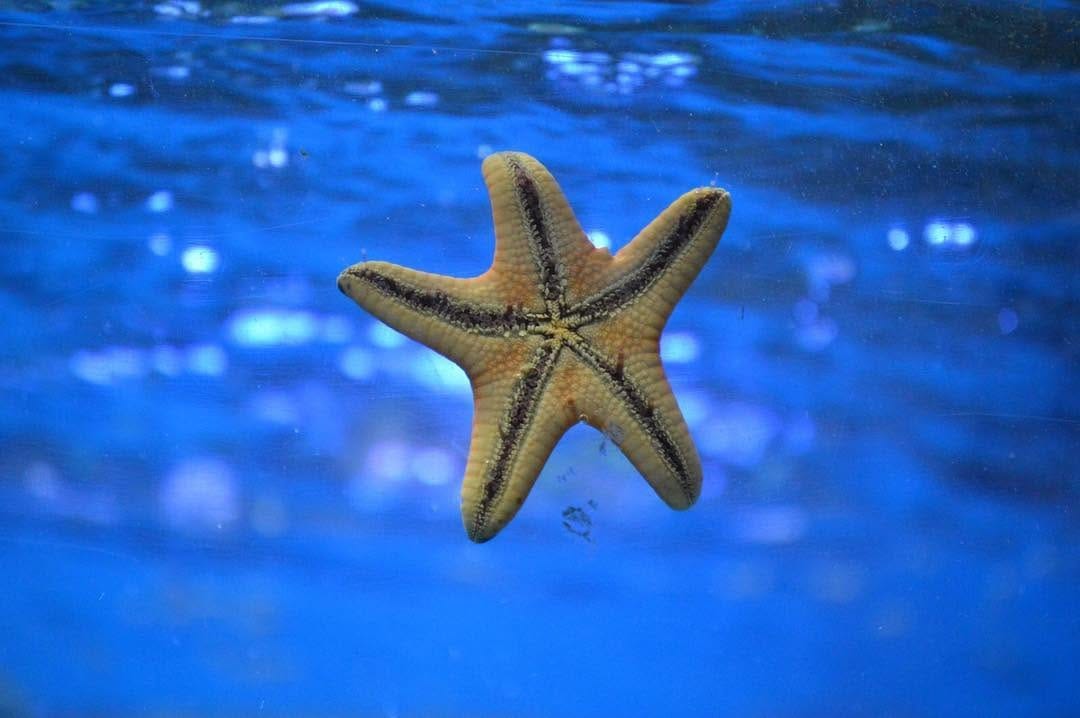 Post 4 by Under The Deep Blue on Instagram (image)