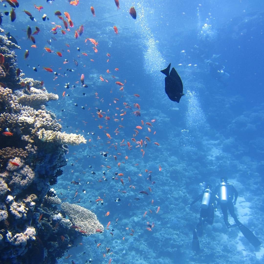 Post 8 by Under The Deep Blue on Instagram (image)