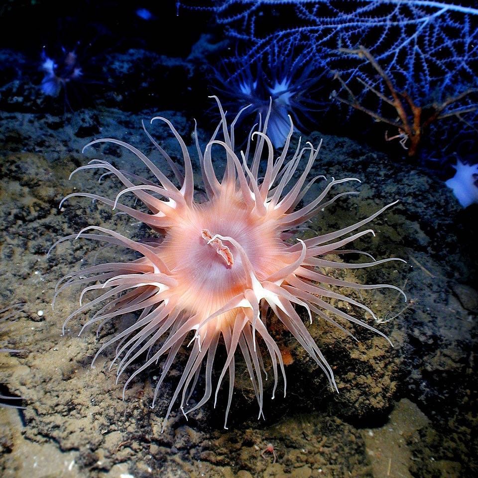 Post 9 by Under The Deep Blue on Instagram (image)