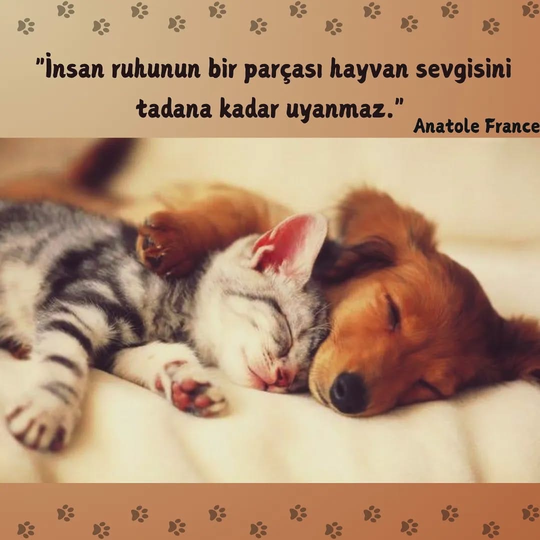 Post 8 by Aslı Seyhan Çakır 📖 💫 on Instagram (image)