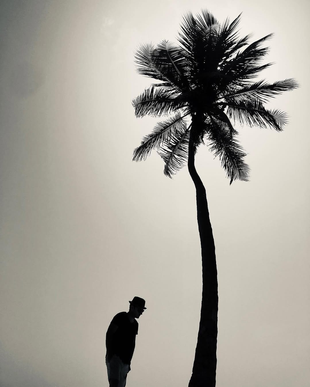 Post 8 by Joshua Wagner on Instagram (image)