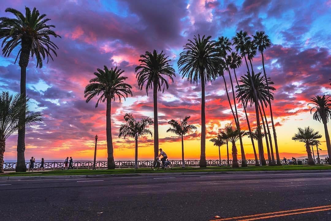 Post 8 by See Los Angeles, California on Instagram (image)