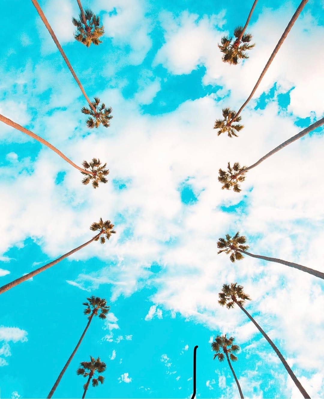 Post 6 by See Los Angeles, California on Instagram (image)