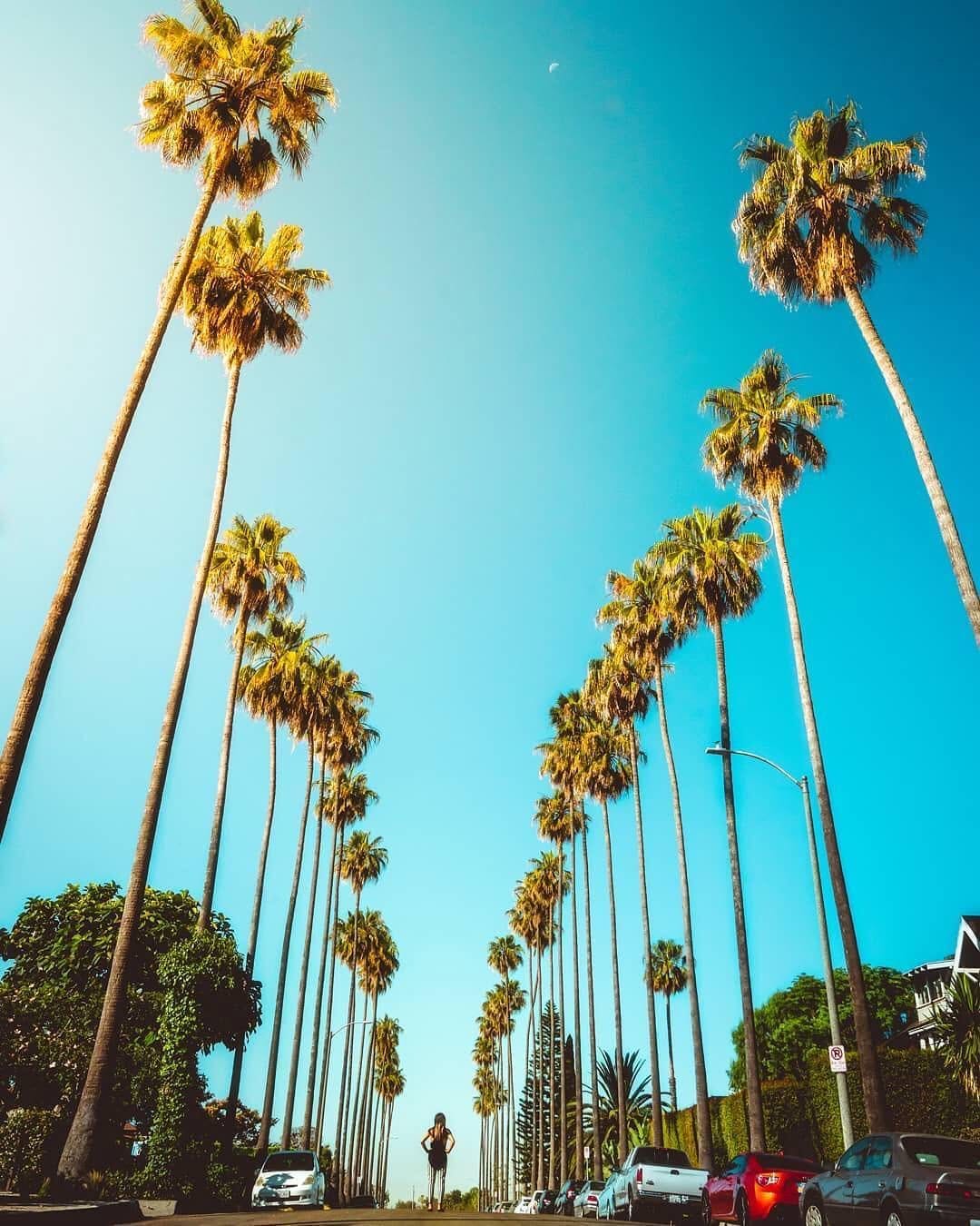 Post 10 by See Los Angeles, California on Instagram (image)