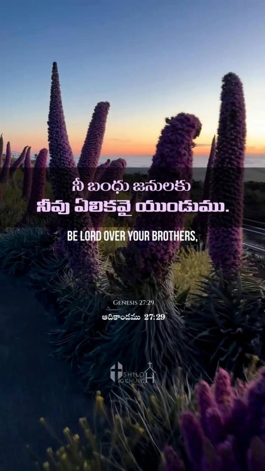 Post 4 by 𝘼𝙨𝙨𝙚𝙢𝙗𝙡𝙞𝙚𝙨 𝙤𝙛 𝙂𝙤𝙙 on Instagram (video)
