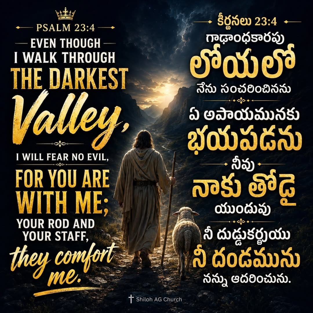 Post 2 by 𝘼𝙨𝙨𝙚𝙢𝙗𝙡𝙞𝙚𝙨 𝙤𝙛 𝙂𝙤𝙙 on Instagram (image)