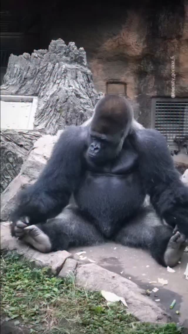 Post 8 by V.Prakash on Instagram (video)